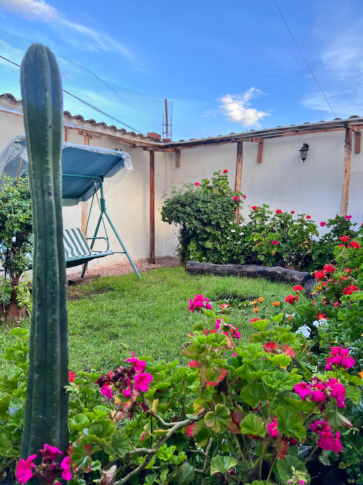 A garden area is showcased, featuring vibrant flowers in various colors. A swing chair is visible, surrounded by well-maintained greenery. The walls are white, and a clear blue sky complements the scene, enhancing the tranquil setting.