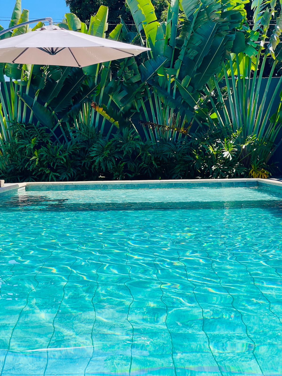 A clear pool is nestled among lush green foliage and tropical plants, with sunlight reflecting off the water's surface. An umbrella provides shade nearby, creating a serene outdoor space ideal for relaxation.