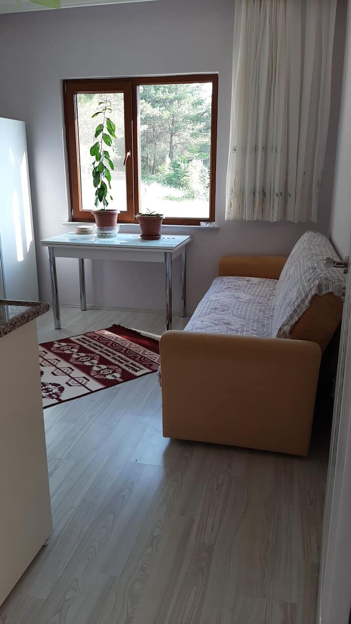 ÇAmlık Köy Evi Saros Mecidiye 2+1daire Doğal Huzur - Erikli