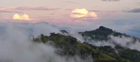 Villa Cumulus
5 acres on Cloud Forest Coffee Farm