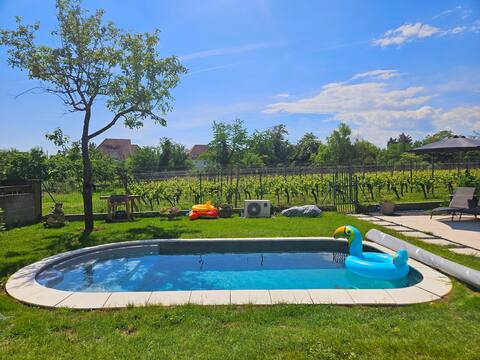 At the birdsong pool garden vineyard parking