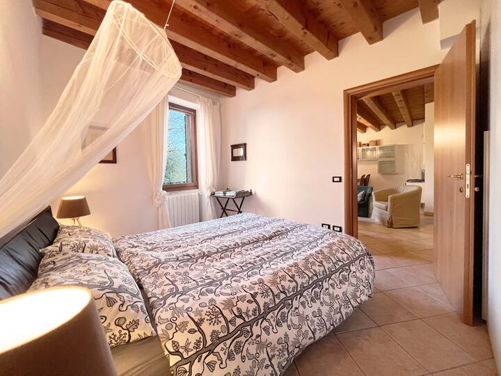 Habitación 1