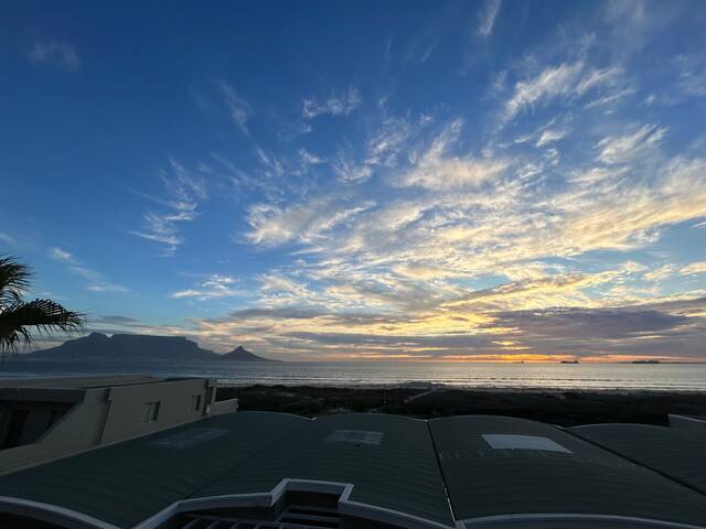 Dolphin beach gallery image 4