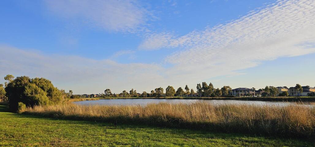 Tree of Life – In Melbourne by Brian & Chan gallery image 2
