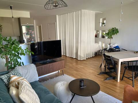Fresh apt 20 min from city center