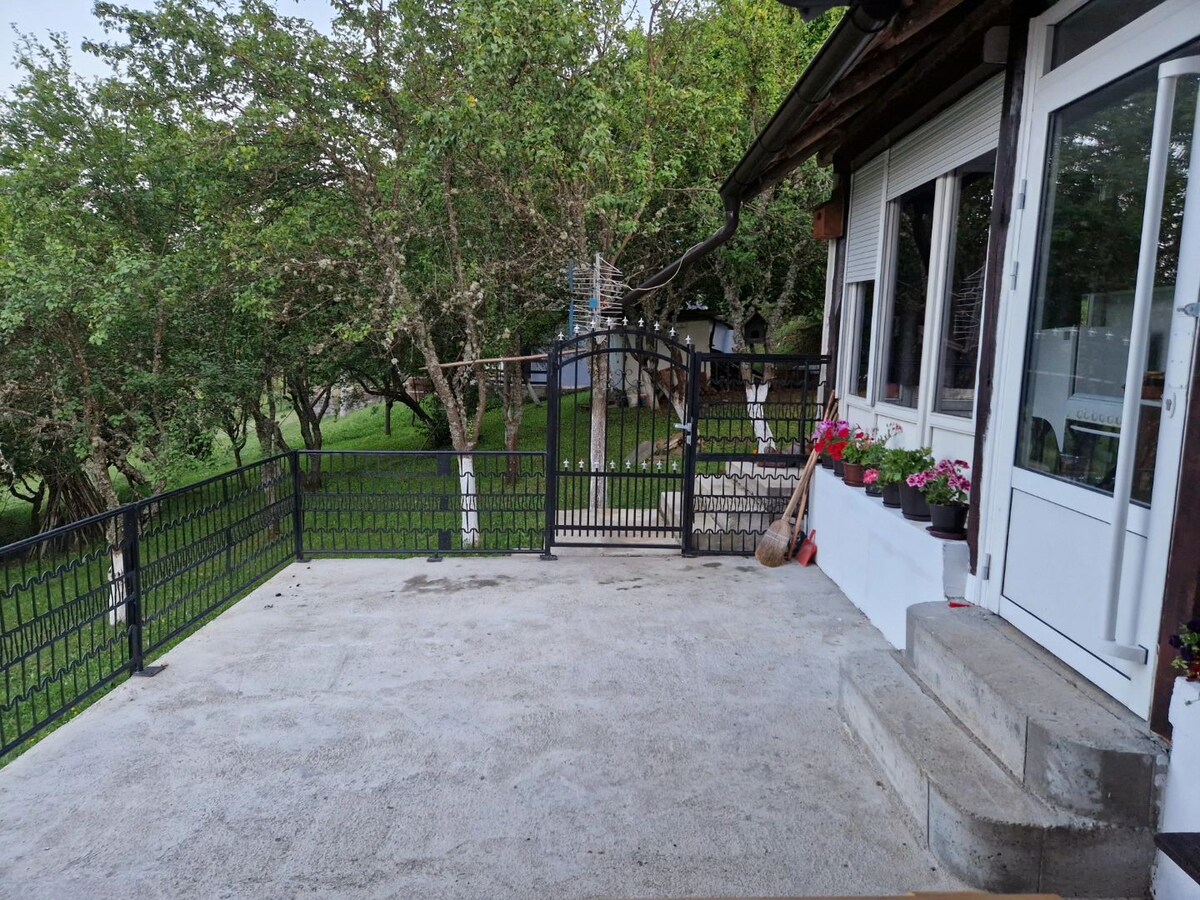 A spacious outdoor terrace is framed by a black metal railing and features a concrete surface. Colorful potted flowers add a touch of vibrancy, while nearby trees provide a natural backdrop. The entrance is marked by a set of steps leading indoors.