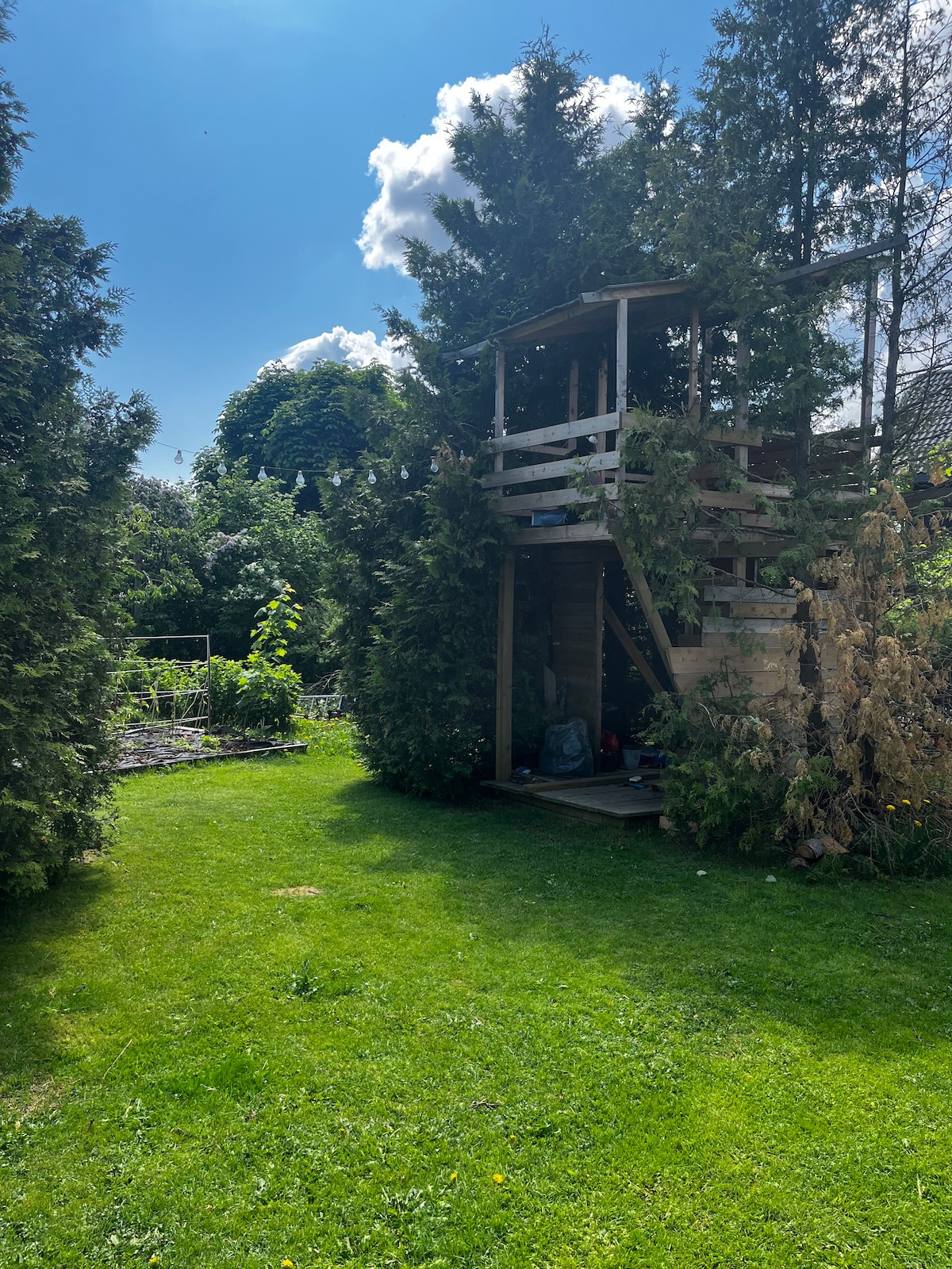 A wooden treehouse is surrounded by tall shrubs and vibrant greenery. The spacious lawn features a vegetable garden in the background, while soft sunlight filters through the foliage, creating a serene outdoor environment for relaxation and play.