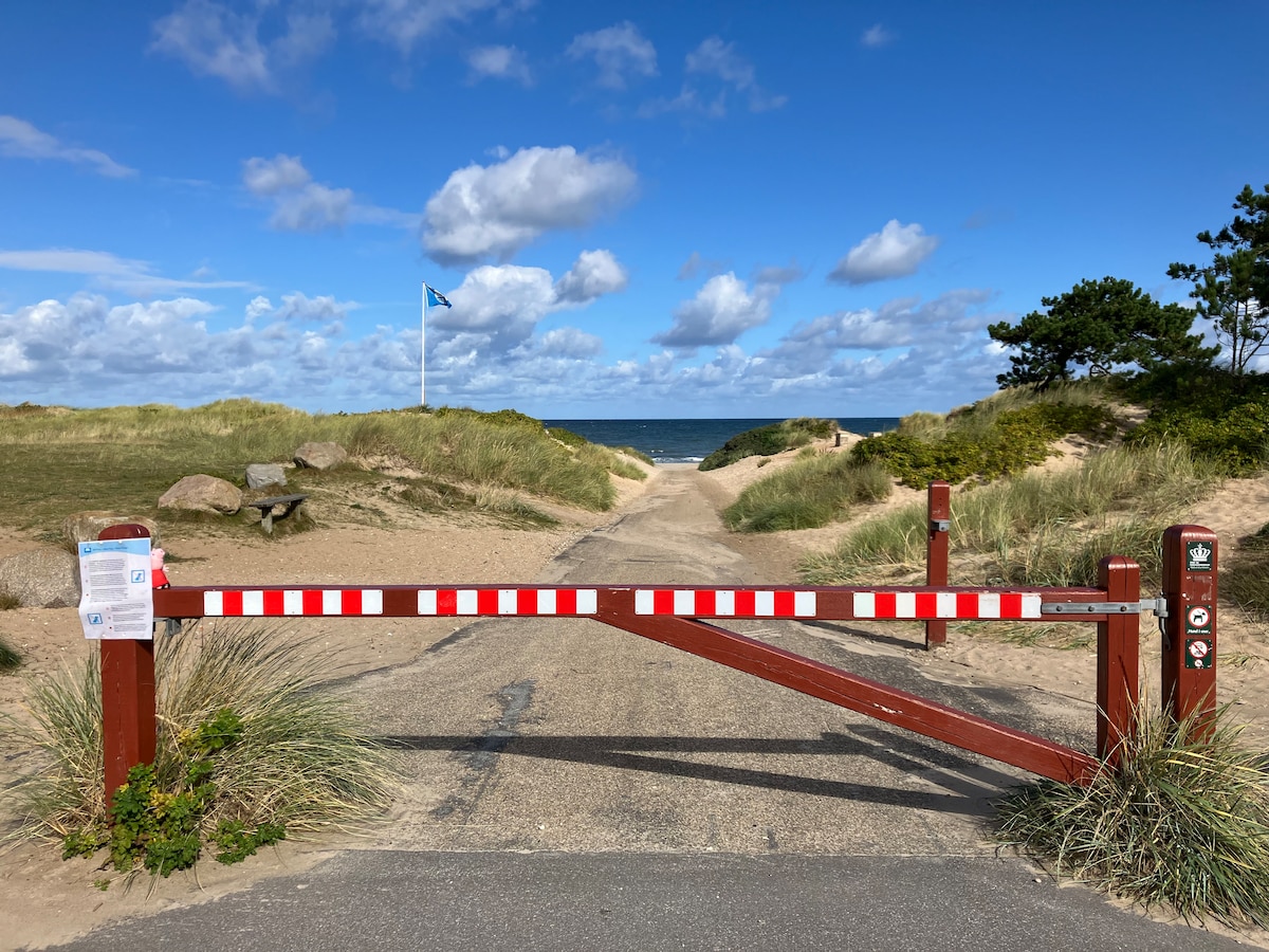 A barrier with red and white stripes is shown across a pathway leading to a sandy beach. The path is flanked by grassy dunes and small bushes. A blue flag is visible in the distance, accompanied by scattered clouds in a clear sky.