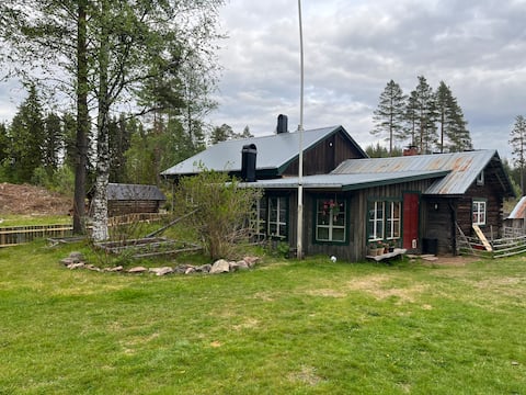 Newly-built house in a mountain pasture area