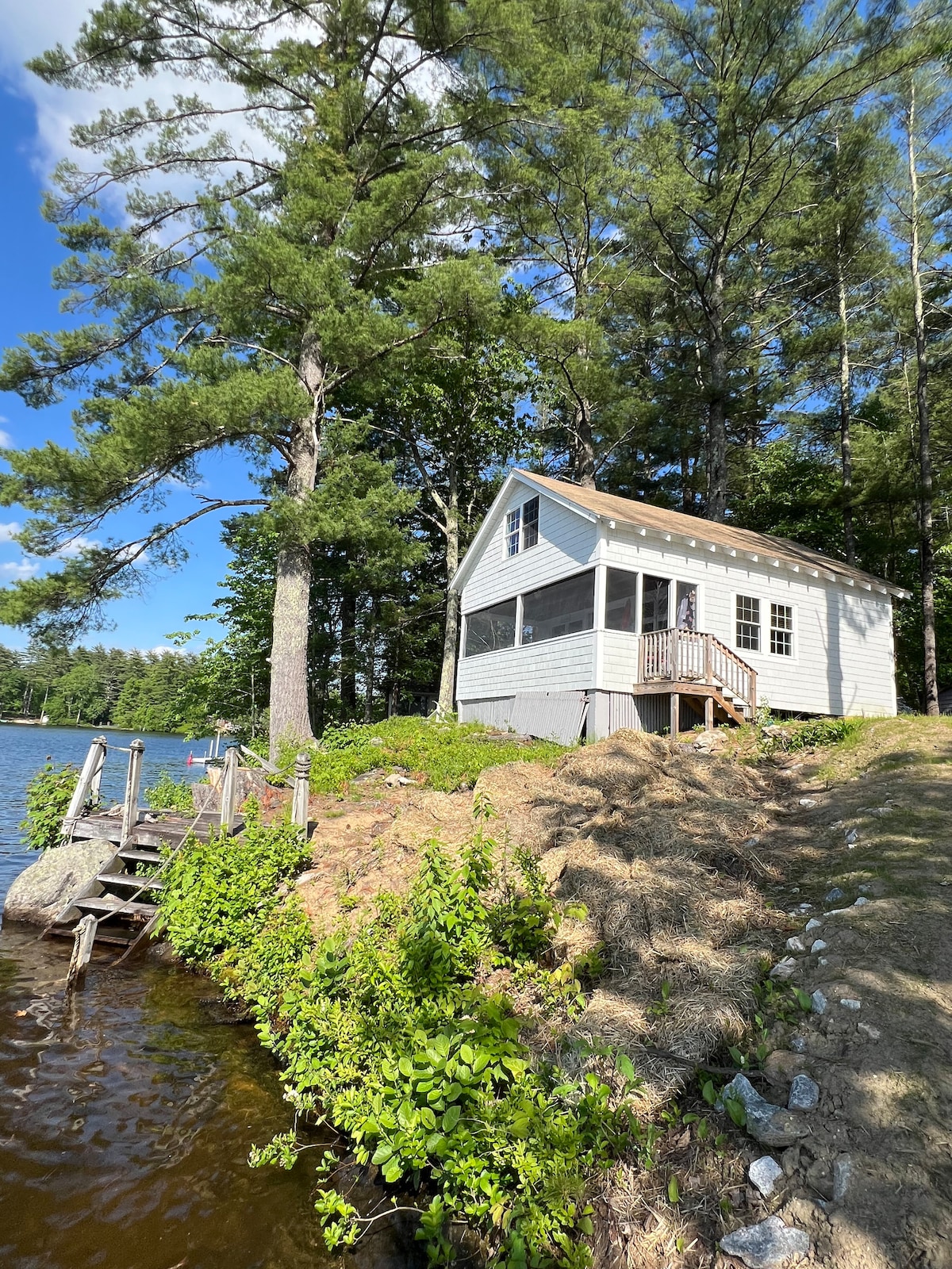 A charming cottage is nestled among tall trees, with a gently sloping path leading down to the water's edge. The screened-in porch provides a view of the lake, while a wooden dock extends into the water, surrounded by natural greenery.