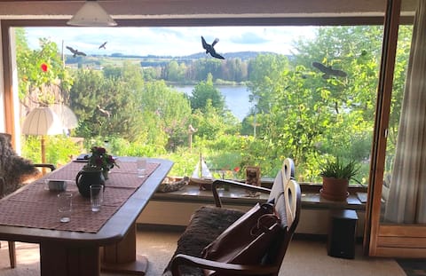 Cottage with lake view