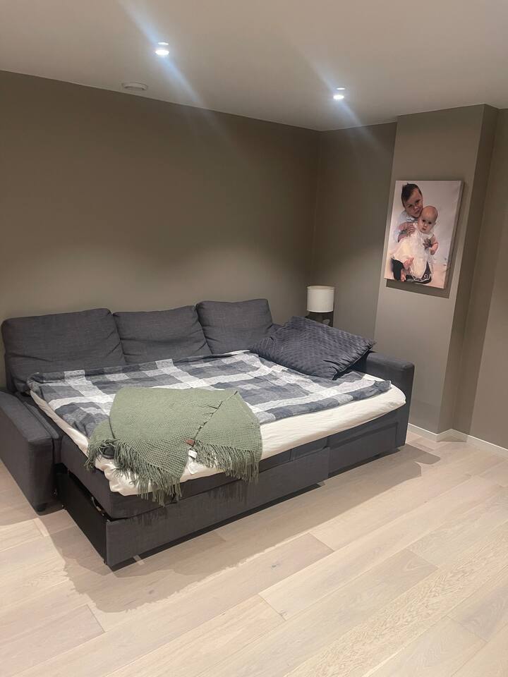 Ekstra dhomë ndenjjeje/zyrë/dhomë gjumi. Me divan krevat