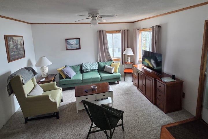4 Bedroom Lakeside Apartment (#2) - Houghton Lake, MI