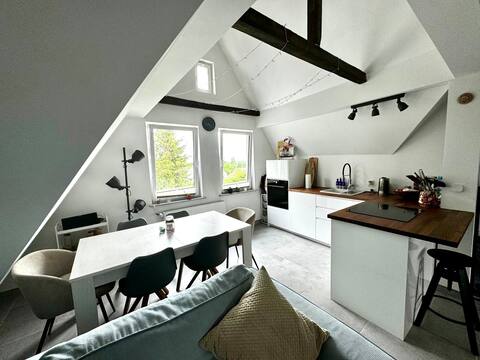 Cozy attic flat