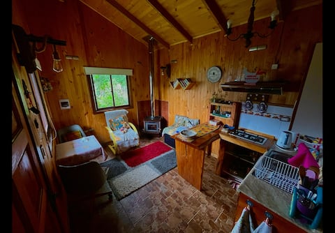 Top performing Airbnb: Cozy cabin in Región De Los Lagos