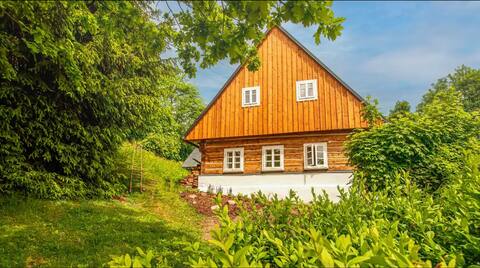Roubenka Among the Trees with Wellness