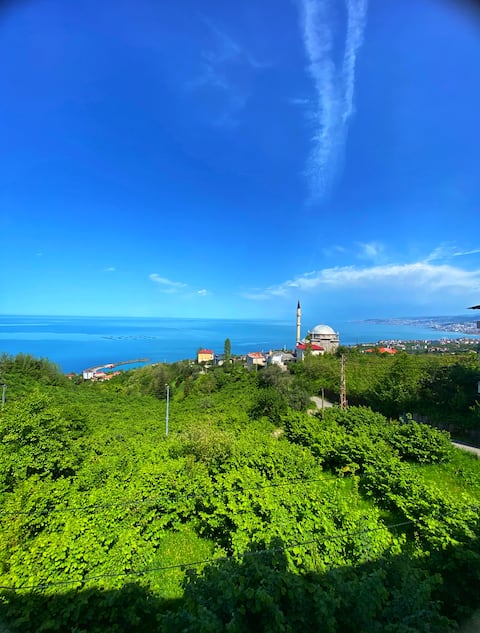 A wonderful villa where the sea and nature meet.