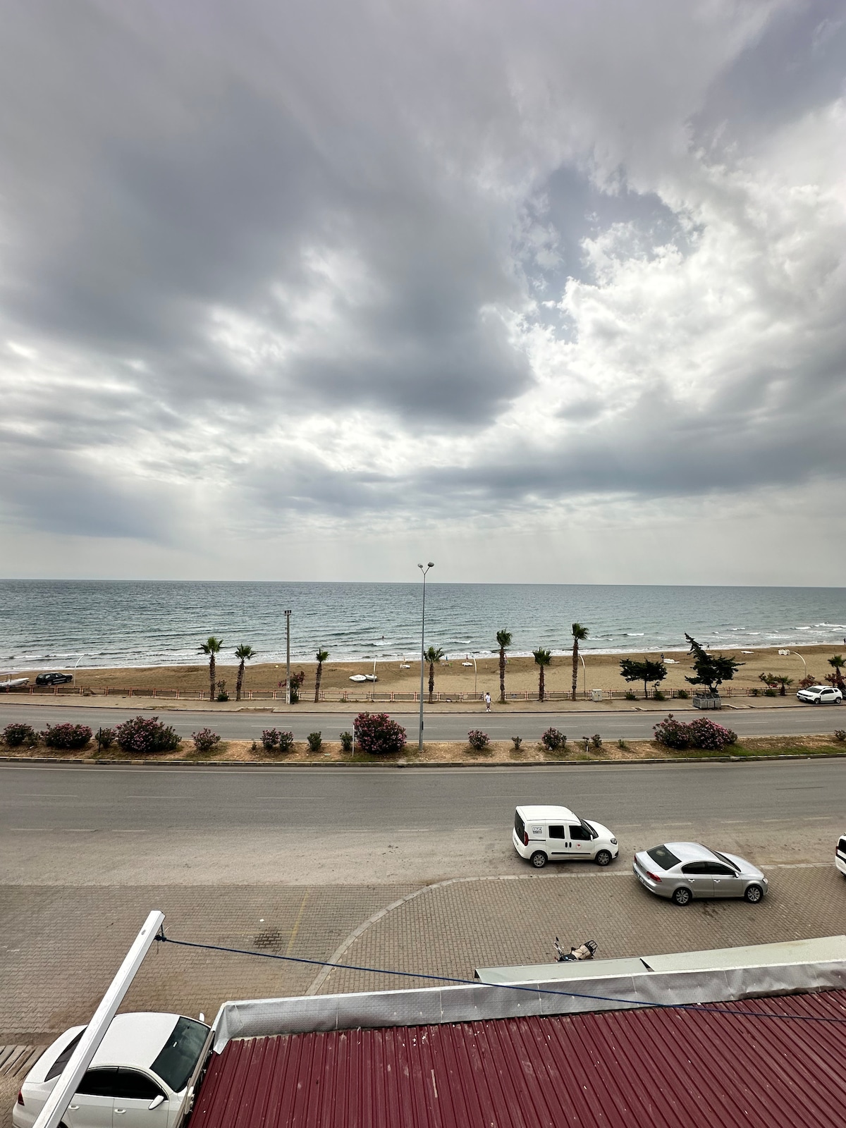 An expansive view of the coastline is presented, showcasing a sandy beach lined with palm trees. The ocean stretches into the distance under a cloudy sky, while vehicles are parked along the street in the foreground, contributing to the vibrant seaside atmosphere.