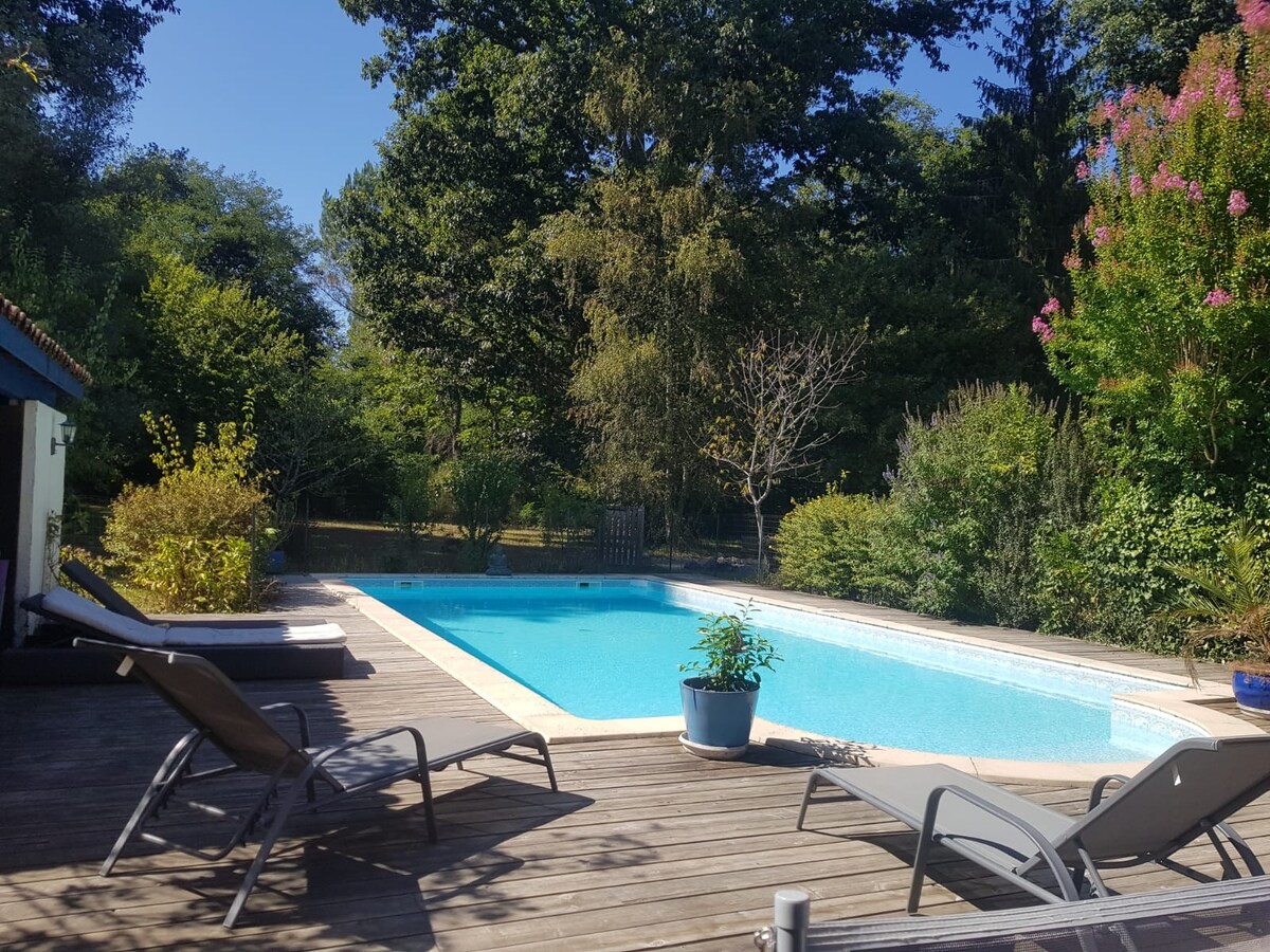 A tranquil outdoor space features a swimming pool surrounded by wooden decking. Several lounge chairs are positioned nearby, offering a place to relax. Lush greenery and flowering plants provide a natural backdrop, enhancing the serene environment.