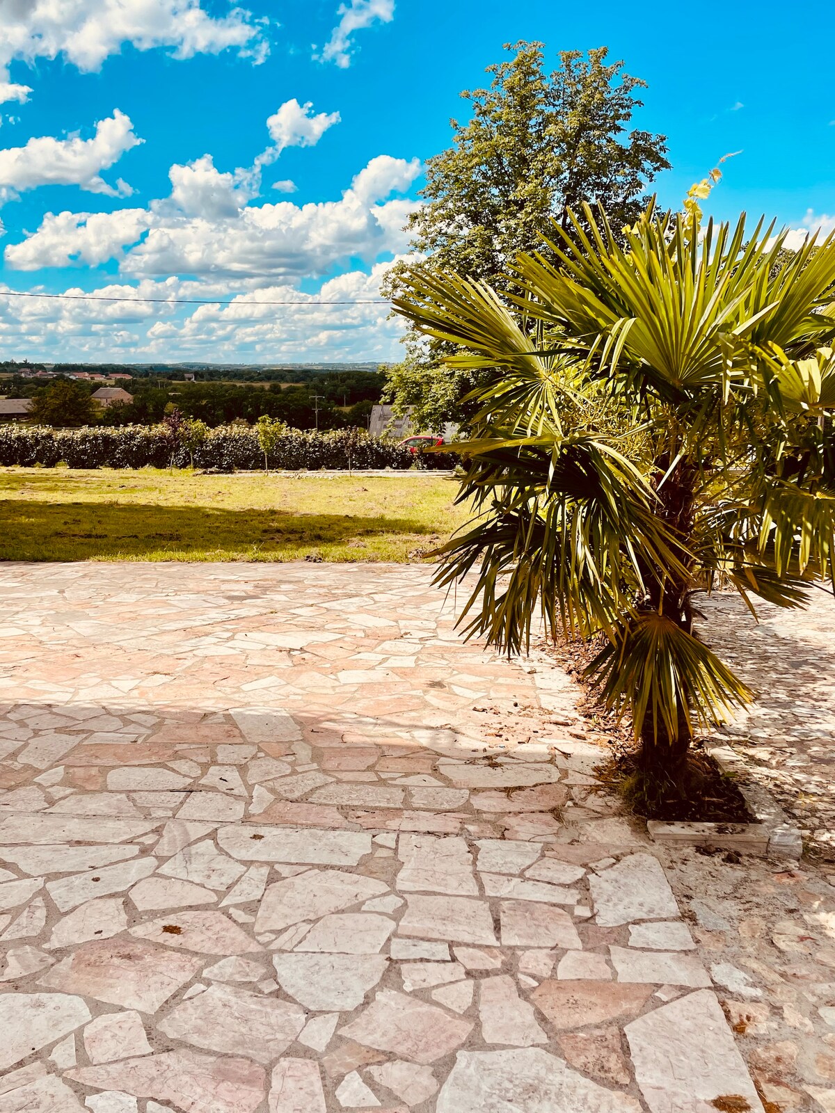 The outdoor area is characterized by a paved stone surface leading to a lush green lawn. A tall palm tree is visible nearby, while the backdrop features rolling hills under a partly cloudy blue sky.