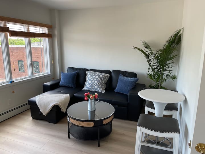 2br Oasis In The Heart Of Downtown Princeton (#2b) - Princeton, NJ