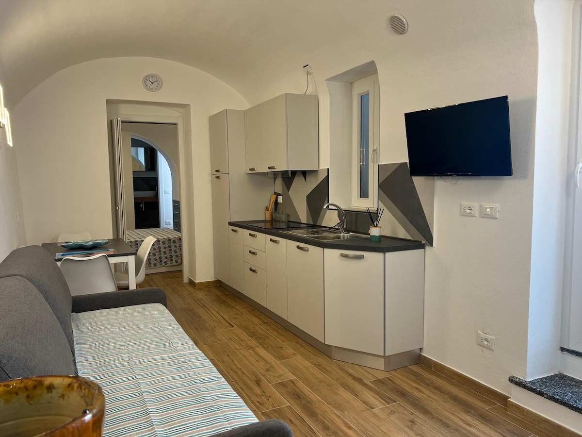 A modern kitchen area is visible, featuring sleek cabinetry and appliances in soft tones. A television is mounted on the wall, and natural light comes through two windows. A comfortable sofa and dining table are arranged in the open space, enhancing functionality.