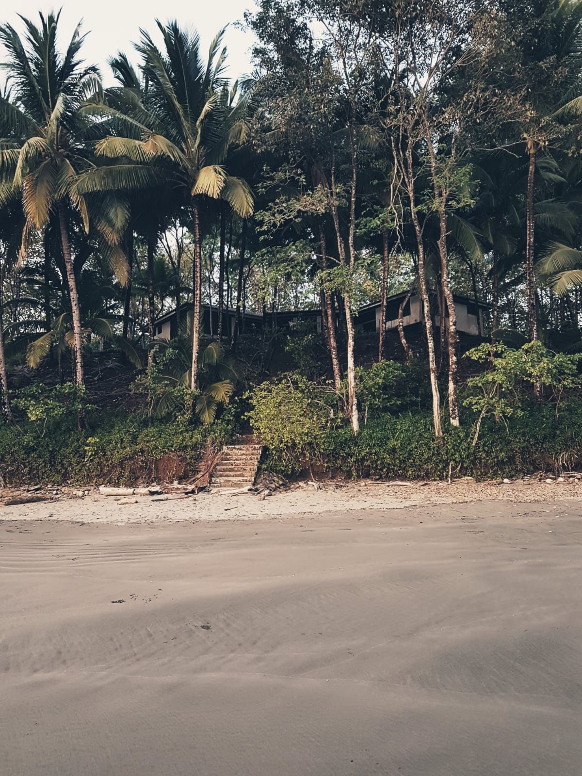 A tranquil scene shows an elevated dwelling surrounded by lush tropical trees. A sandy beach leads up to a set of stairs, bordered by greenery, providing access to the building. The area is serene, with soft sand and gentle waves visible in the background.