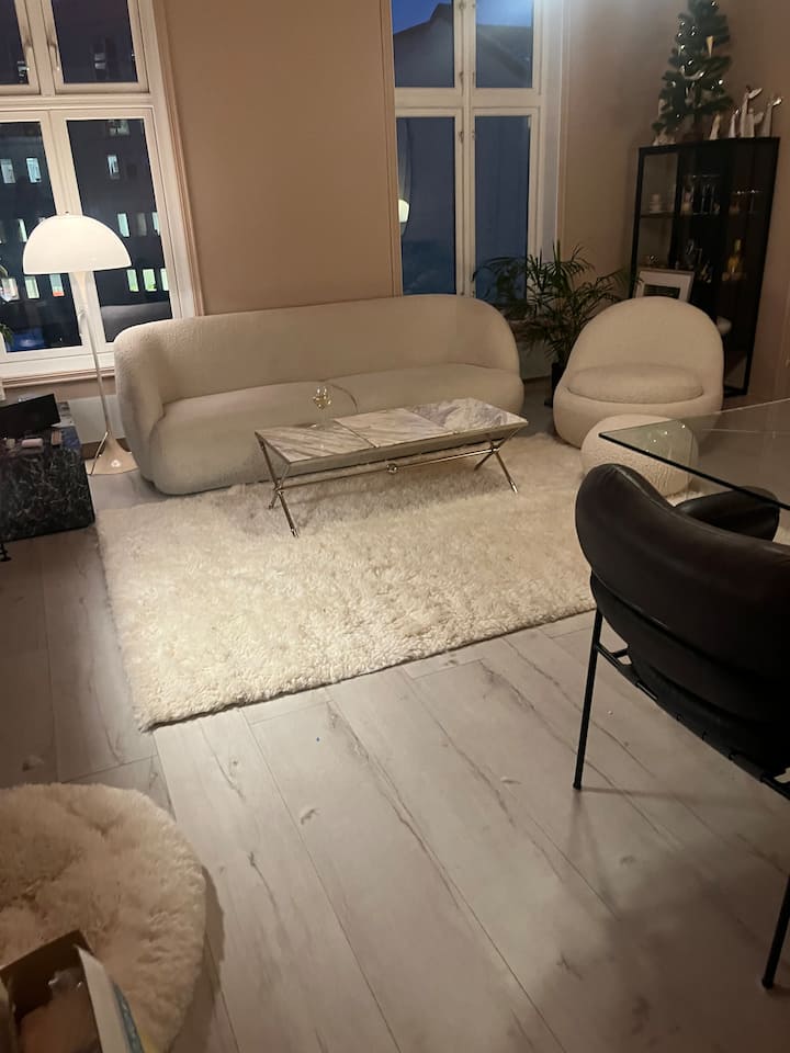 Romslig Leilighet I Sentrum - Oslo