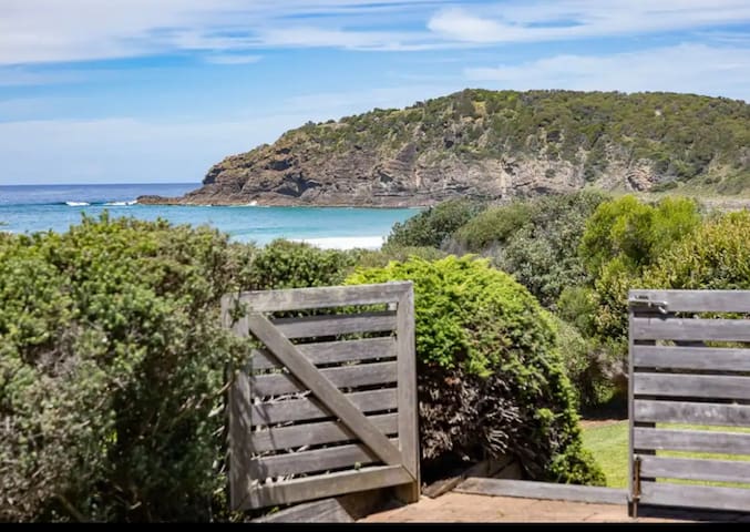 Pacific | Dolphin Watching Paradise