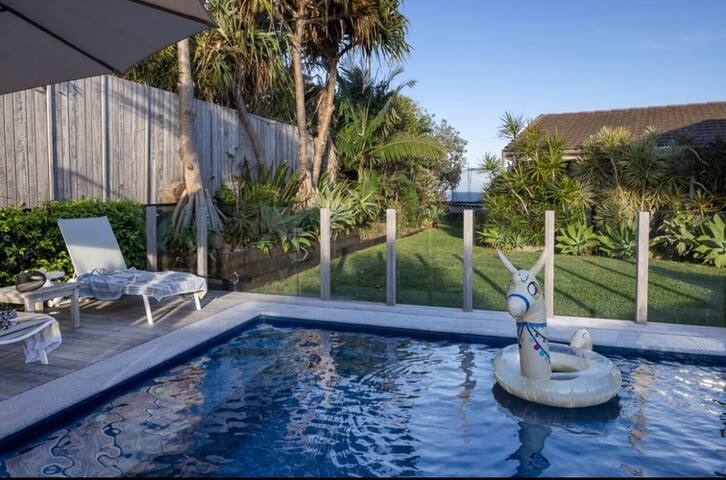 Pacific | Dolphin Watching Paradise gallery image 5