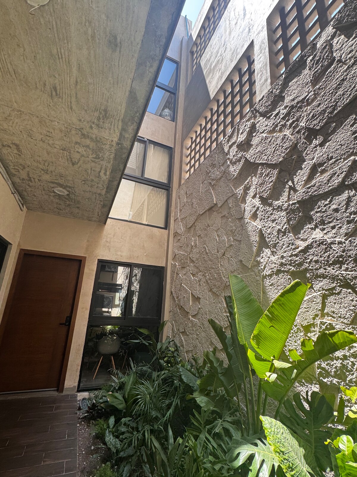 A narrow outdoor corridor is bordered by textured stone walls and vibrant greenery. Tall plants and small ferns thrive in the sunlight. The entrance door is made of wood, with large glass windows allowing natural light to enter the space.