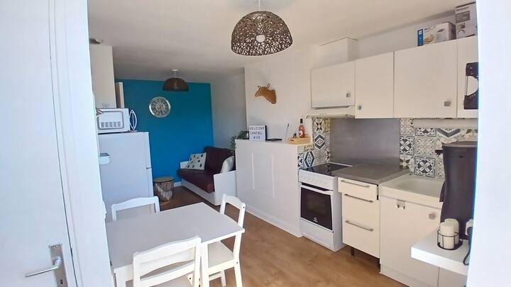 Gençanaïre - Appartement 2 - 3 Personnes - Vic-sur-Cère