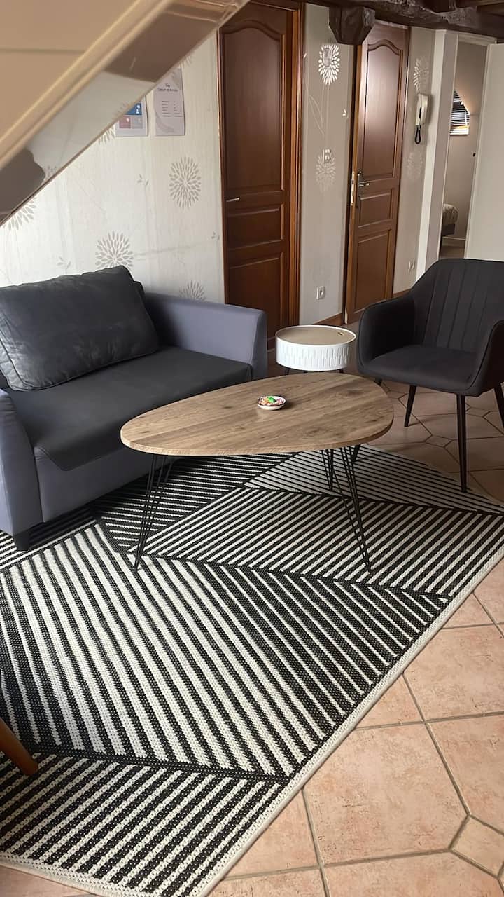 Magnifique Duplex à 600m Du Martroi - Saran