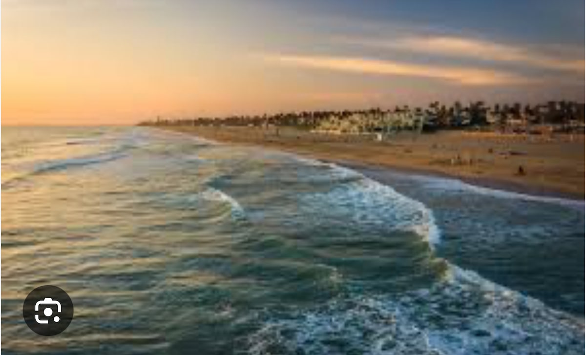 A serene view of the beach at sunset captures gentle waves lapping onto the shore. The coastline stretches into the distance, bordered by soft sand and a backdrop of palm trees under a pastel sky. The tranquil atmosphere invites relaxation.