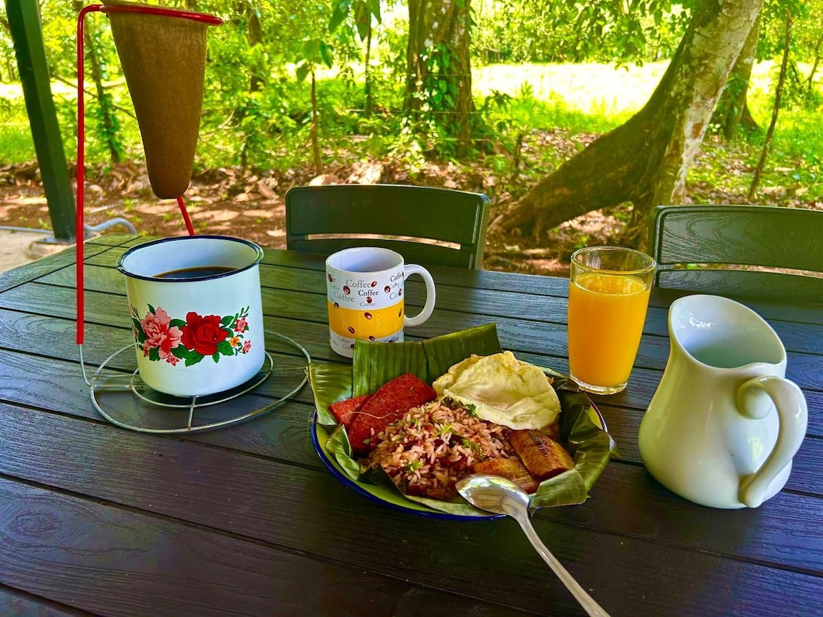A breakfast setting is displayed on a wooden table surrounded by lush greenery. A plate contains rice accompanied by side dishes. A steaming coffee pot sits beside a cup, and a glass of orange juice completes the scene. Natural light enhances the inviting atmosphere.