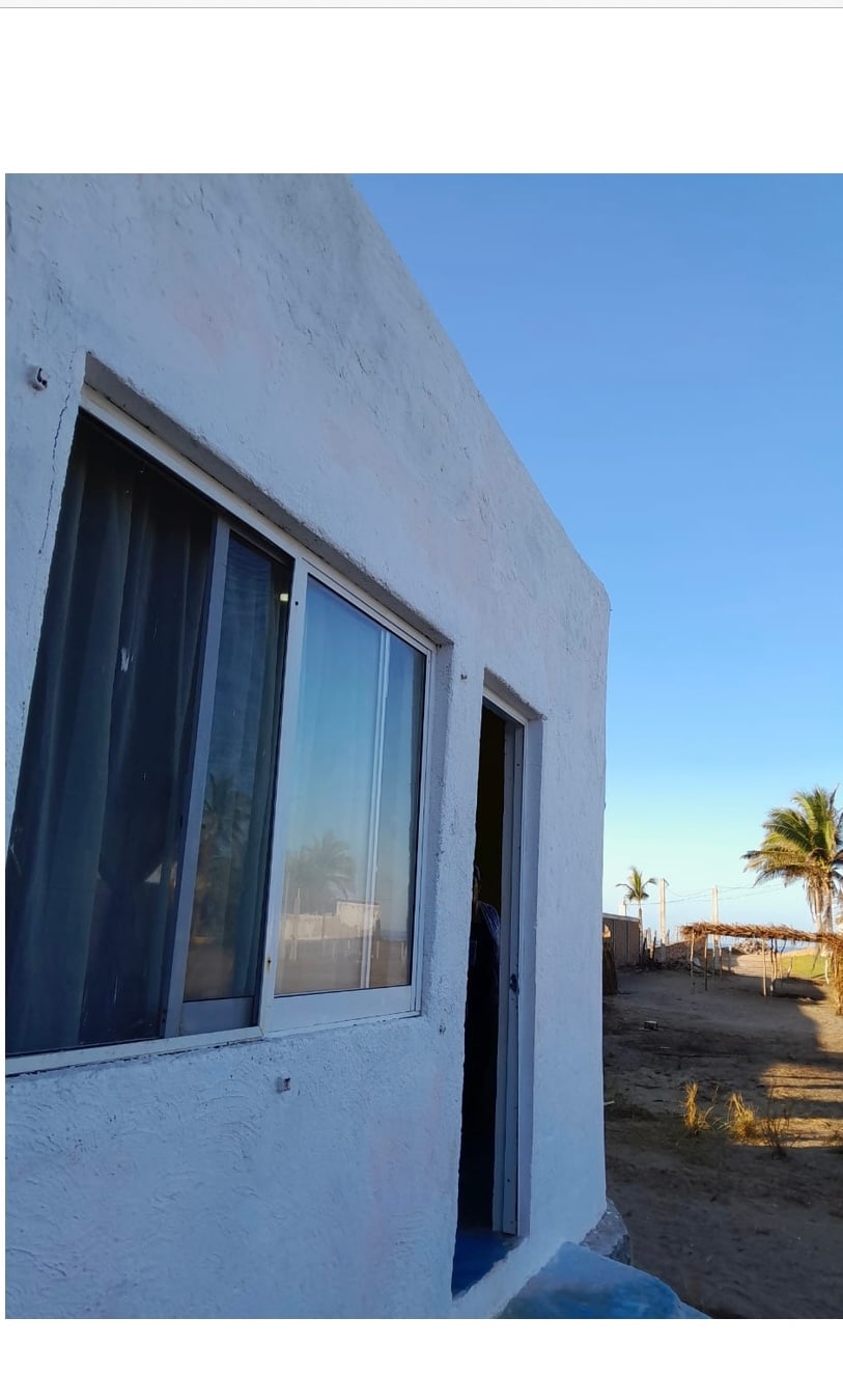 A corner of the building is visible, showcasing a light-colored exterior with large windows. The glass features a slight reflection of the surrounding landscape. A clear blue sky provides a serene backdrop, complemented by palm trees in the distance.