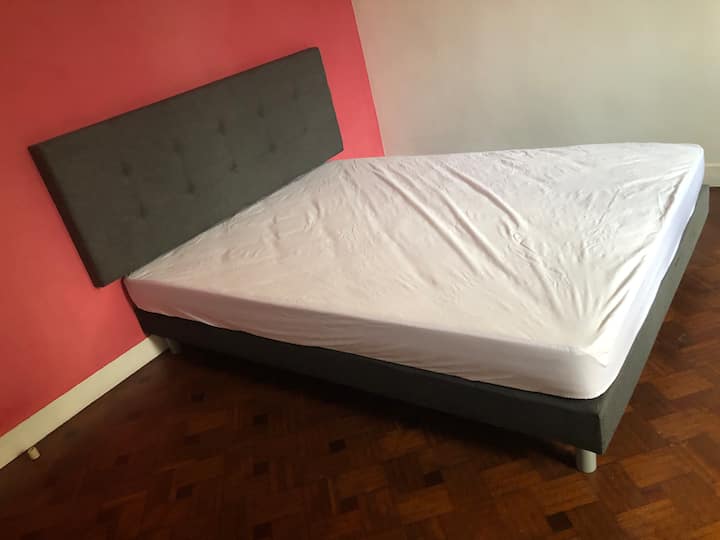 החלק האחורי של הנוף 