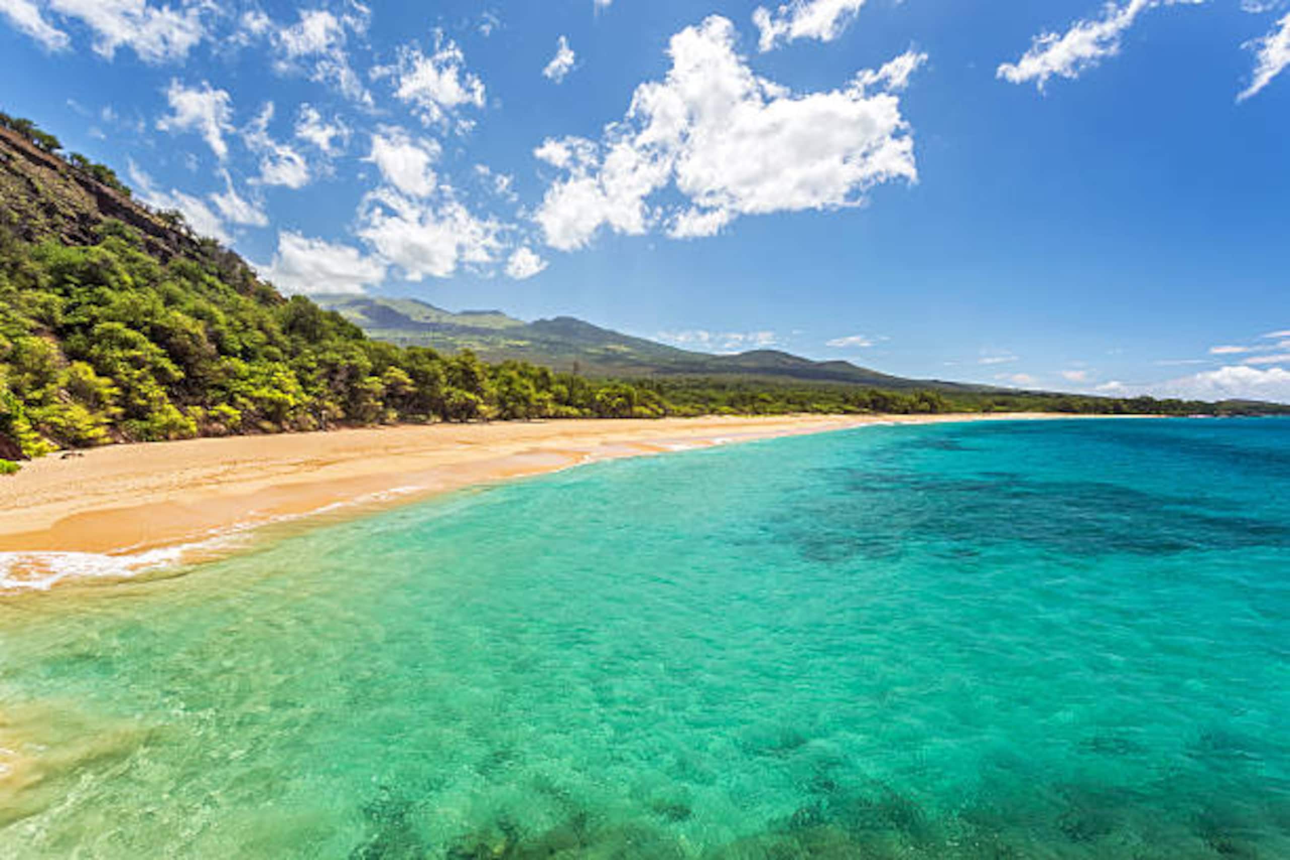 Home in Kihei · ★4.44 · 2 bedrooms · 3 beds · 2 baths - Image 116