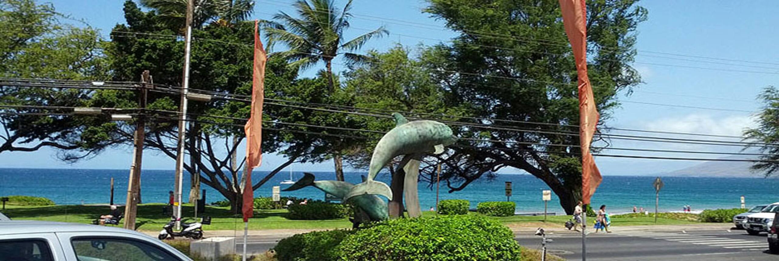 Home in Kihei · ★4.44 · 2 bedrooms · 3 beds · 2 baths - Image 119