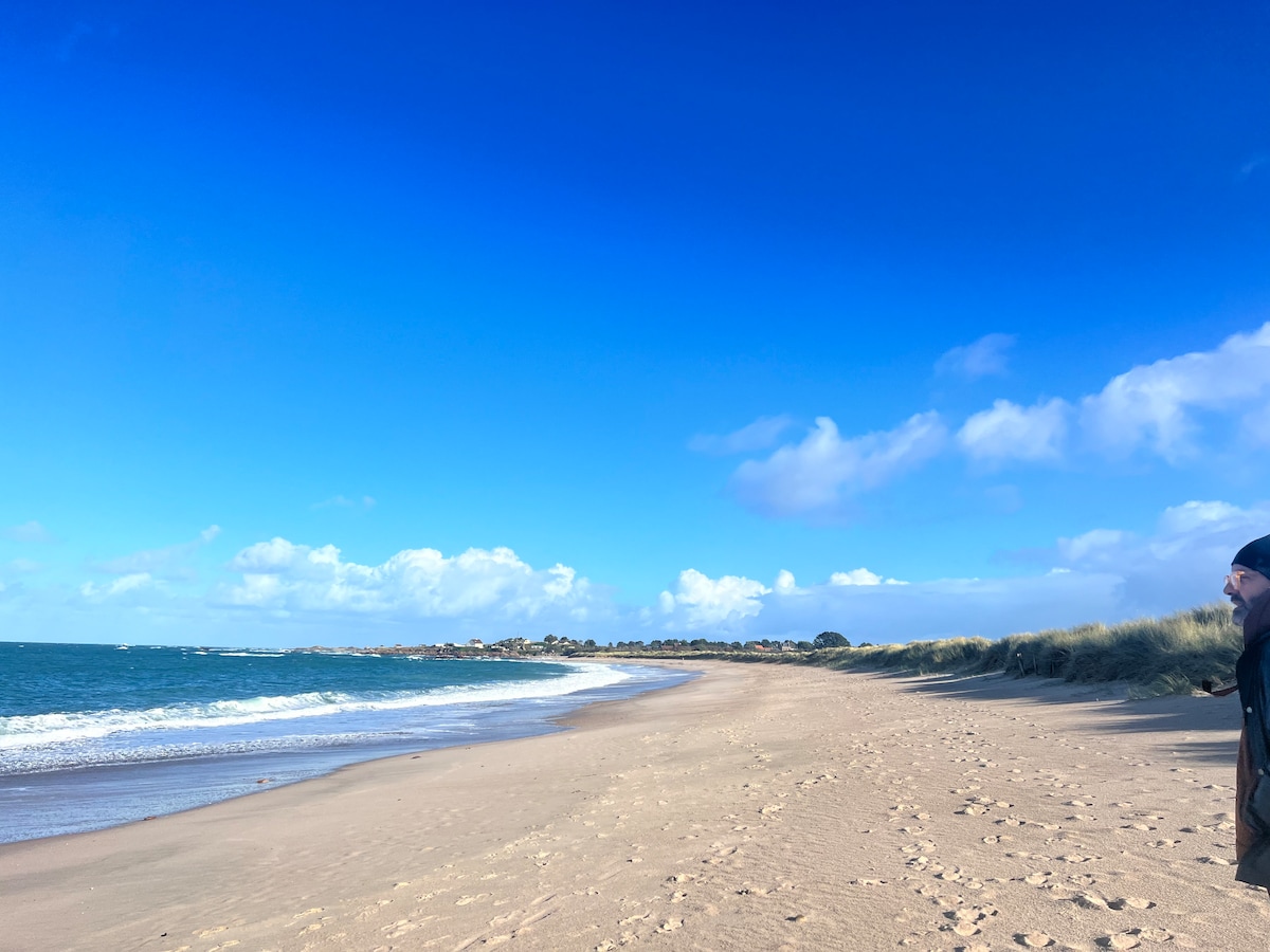 A serene beach scene features soft sandy shores meeting gentle waves. A vibrant blue sky is observed, scattered with fluffy white clouds. The shoreline stretches into the distance, bordered by coastal vegetation and hints of a seaside town.