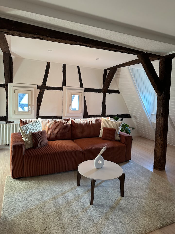 Le Nid - Appartement Hypercentre - Petite Venise - Colmar