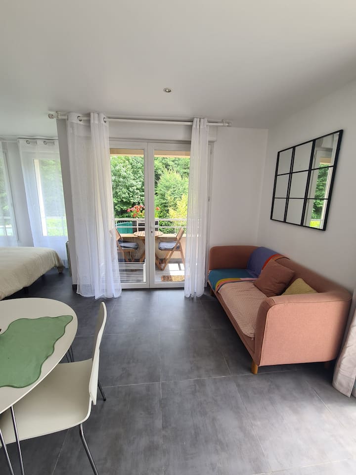 Studio En Lisière De Forêt, Proche Cnfdi - Évry