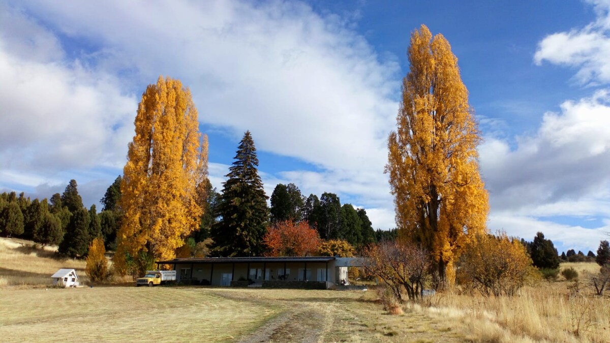 A spacious house is situated amidst a natural landscape featuring tall trees with vibrant yellow and green foliage. The surrounding area includes open fields and a clear blue sky, creating a serene environment. A small structure is visible in the foreground.