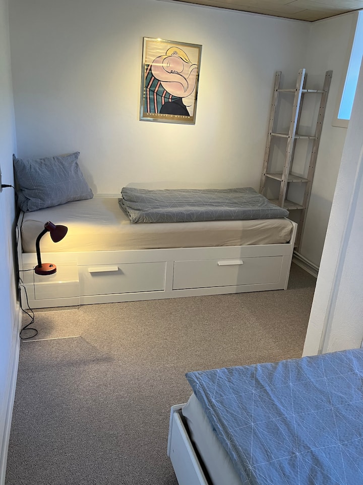 გასაშლელი ერთადგილიანი საწოლი