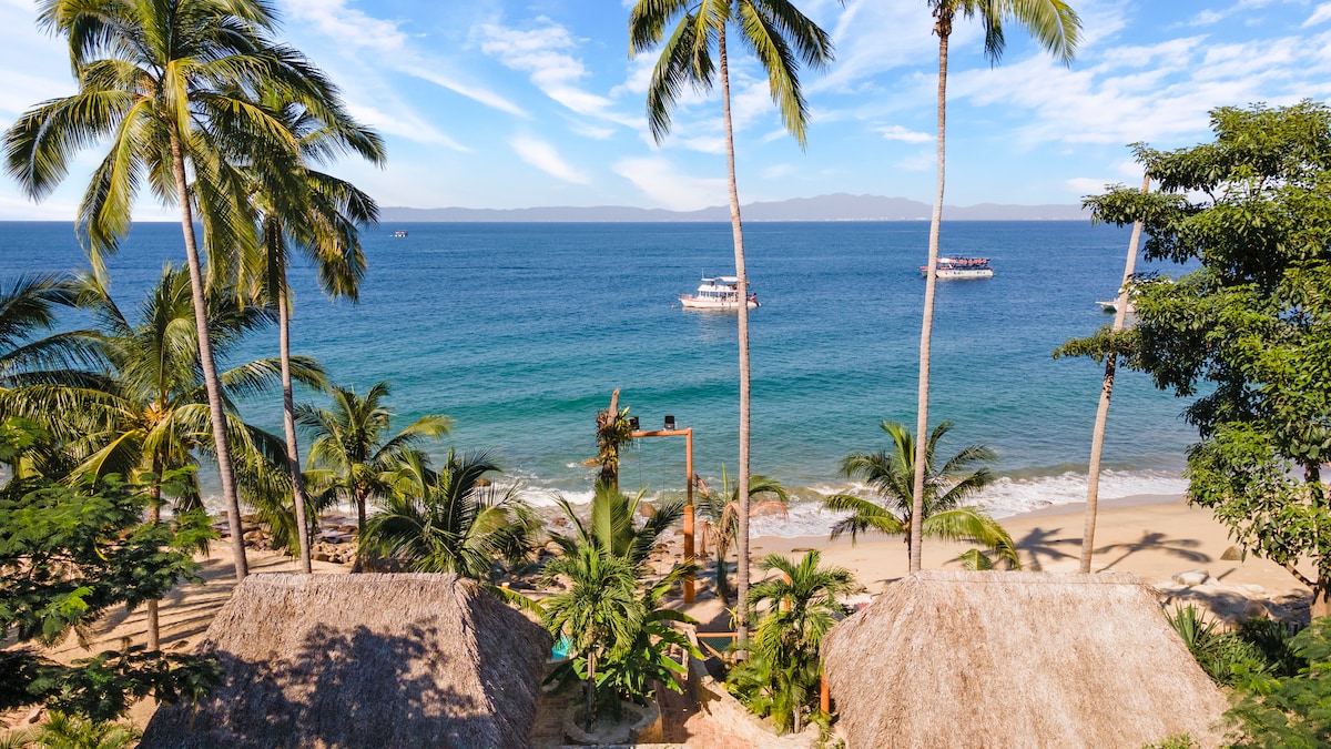 A serene view of Las Animas Beach is captured, featuring soft sandy shores and gentle waves. Lush palm trees sway in the breeze, while small boats can be seen gliding across the sparkling blue ocean. Coastal vegetation adds to the tranquil atmosphere.