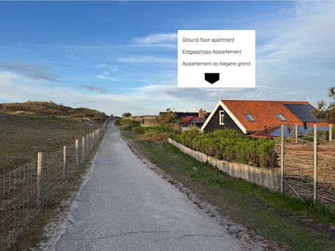 Petten by the Sea, Dunes & Forest