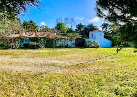 Prestigious villa, nature, swimming pool, bicycles, 500 m from the beach