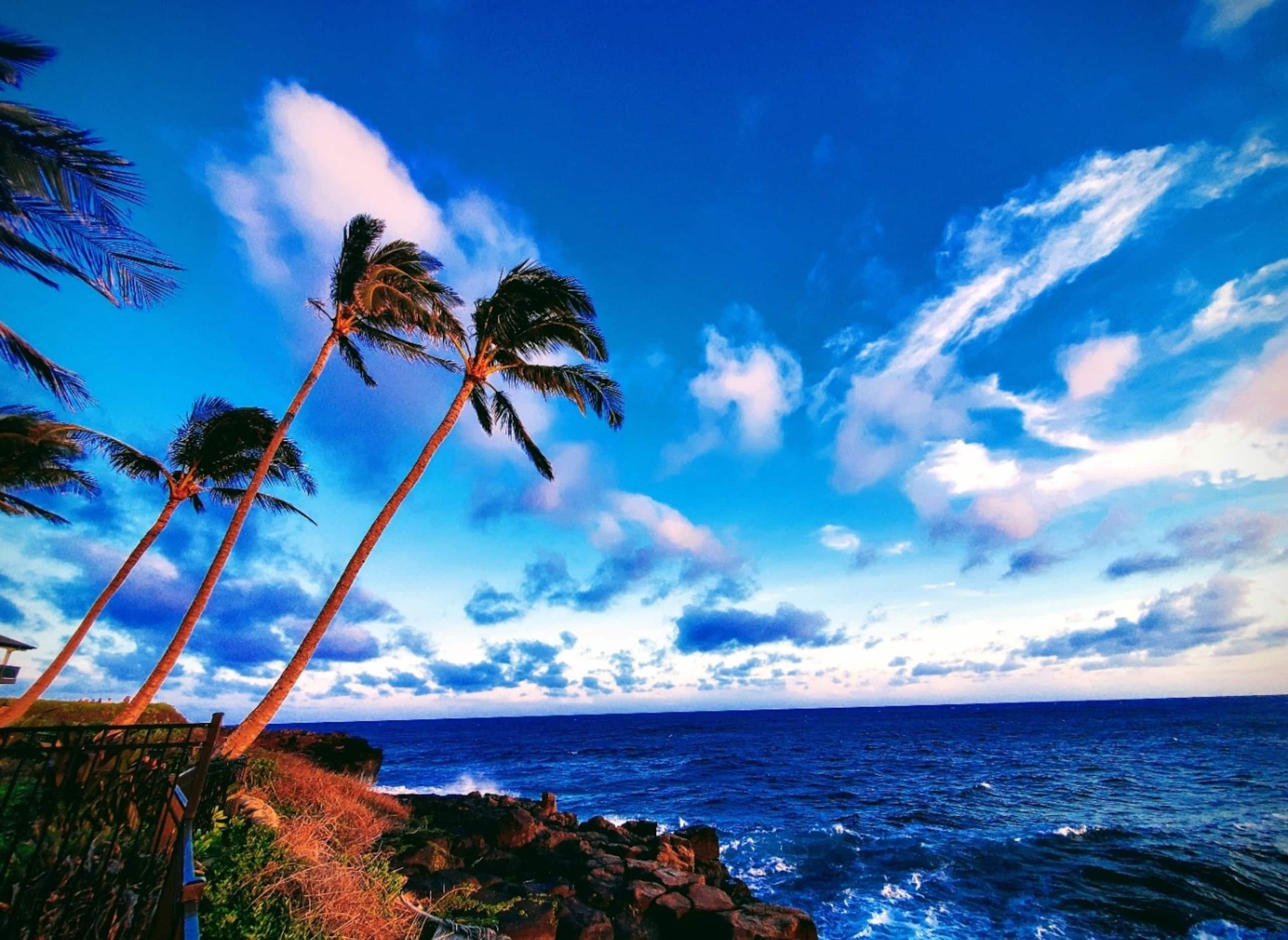 Home in Koloa · ★5.0 · 3 bedrooms · 3 beds · 3 baths - Image 68