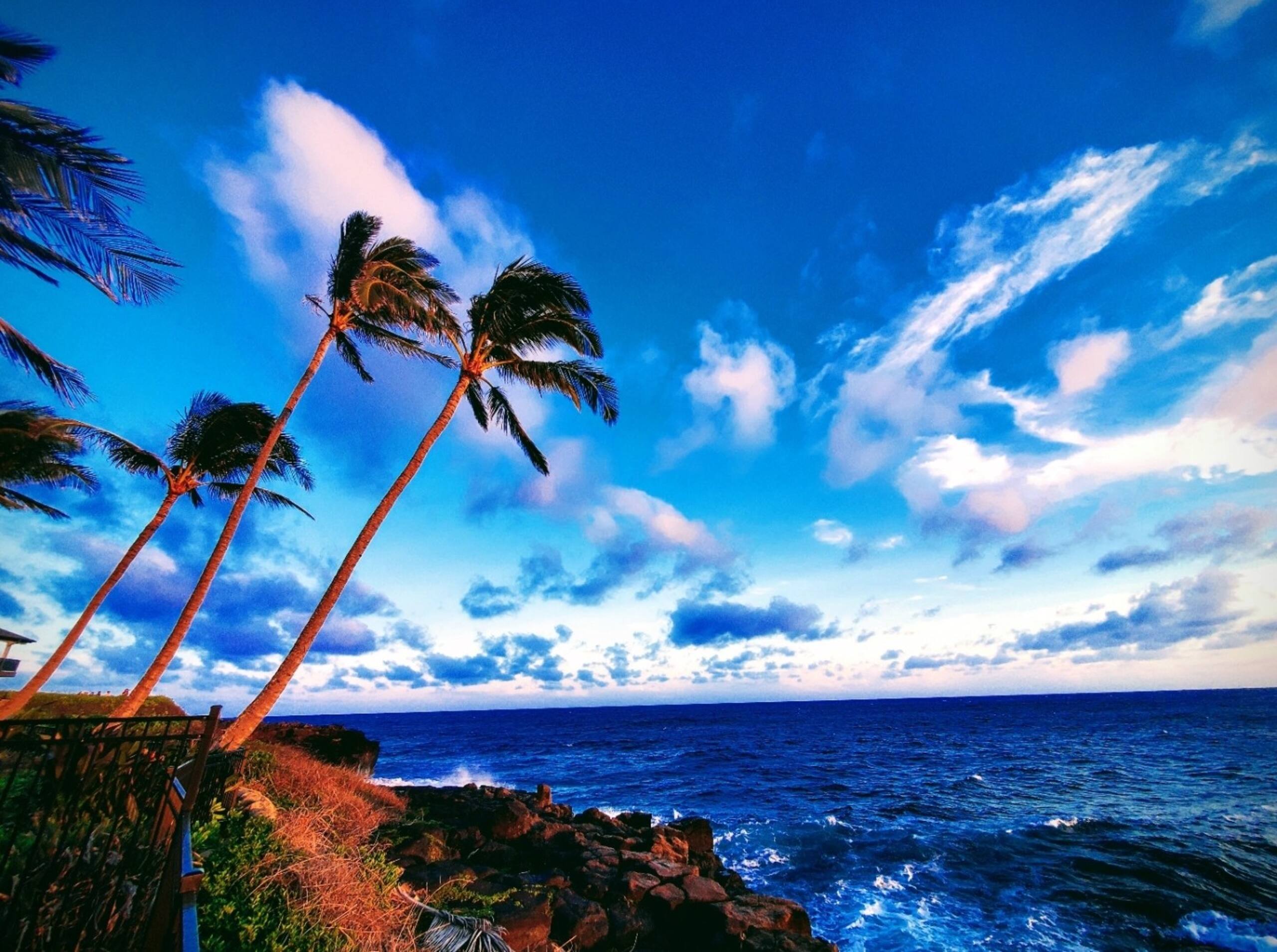 Home in Koloa · ★5.0 · 3 bedrooms · 3 beds · 3 baths - Image 85