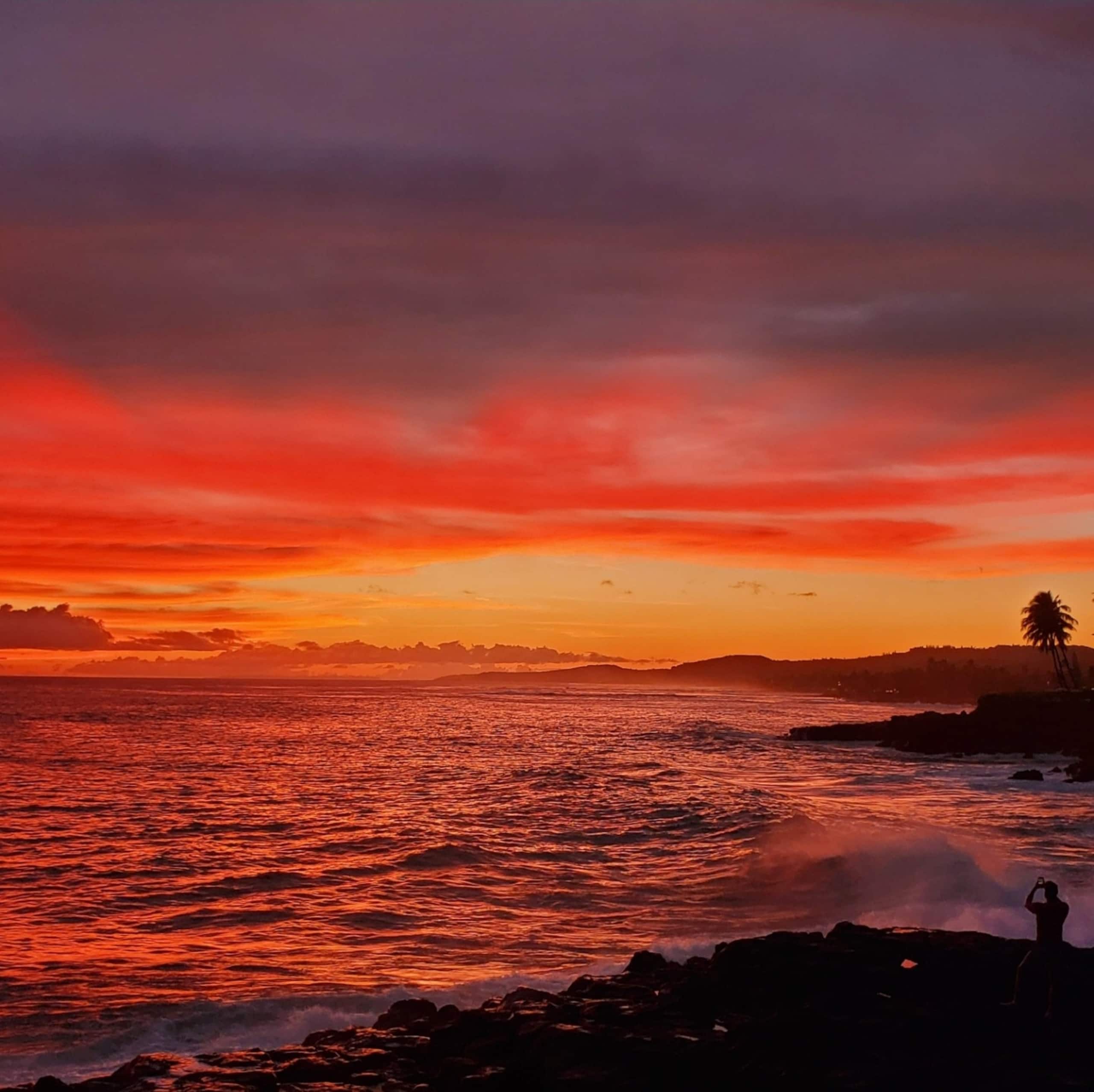 Home in Koloa · ★5.0 · 3 bedrooms · 3 beds · 3 baths - Image 58